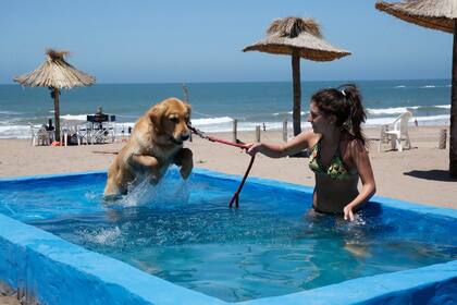 Especial para perros esta pileta en el Parador Casino Yes
