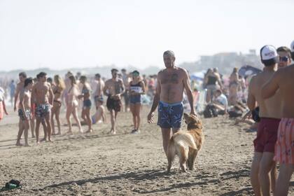 Este Golden retriever se llama Bati y vino desde Rosario a Pinamar