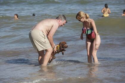 Se llama Teo pero en Pinamar ya lo conocen como "Peluche"