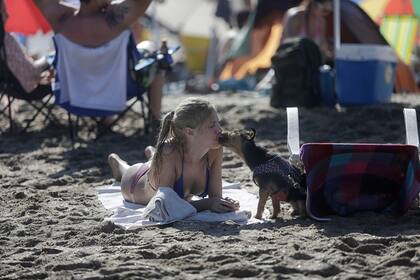 De Lanús a Pinamar, este yorkshire siempre con su dueña