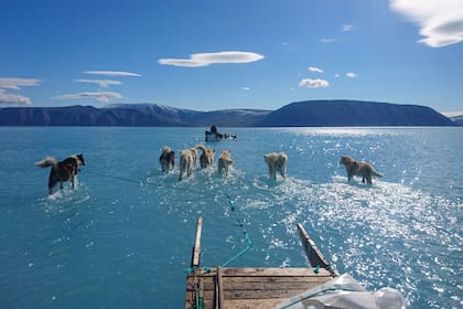 Por el cambio climático la tierra se calienta y Groenlandia se derrite
