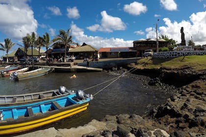 En las orillas de la laguna Rano Raraku, uno de los tres depósitos superficiales de agua de la isla, trabajadores de la agencia gubernamental CONAF extraen a mano plantas invasoras - en su mayoría procedentes del continente - que dañan el sensible ecosistema al ser dispersados por el paso de animale