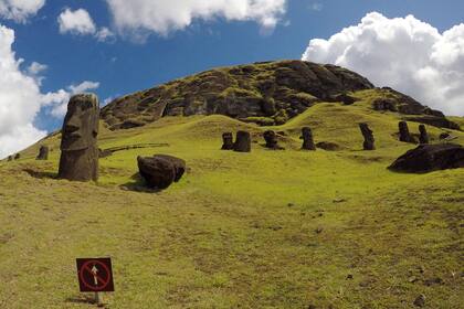 Isla de Pascua está en el ojo del llamado "Giro del Pacífico Sur", una de las cinco manchas de basura plástica que existen en el mundo y que son arrastradas por las corrientes oceánicas. Gaviotines, fragatas y fardelas, incluido el Manutara, el ave símbolo en los rituales ancestrales, ahor