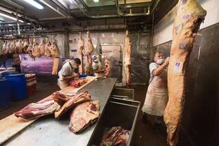 Carne: dan de baja a casi 100 campos de exportación para la cuota Hilton