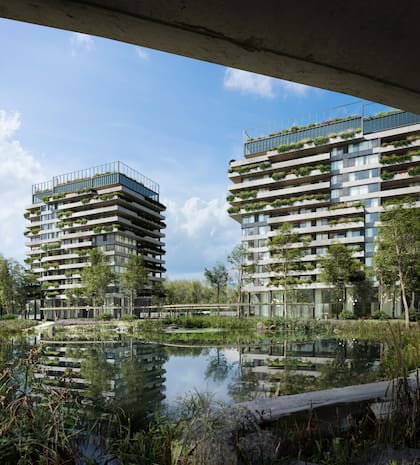 En Furo Buenavista, el verde es protagonista