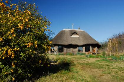 En Gaia participan 22 familias y son copropietarios dentro de los dos condominios que forman la Ecovilla.