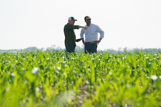 Las mejores decisiones para tener una buena campaña