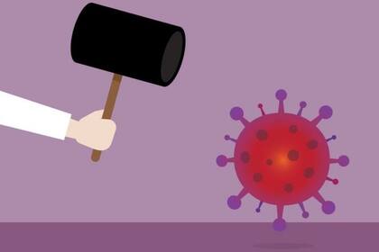 En general, el desarrollo de una vacuna demora entre 10 y 15 años.