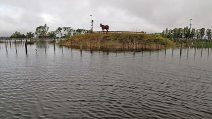 Según el informe, las inundaciones, como las que afectan hoy a General Villegas, son la mayor amenaza ambiental en el país