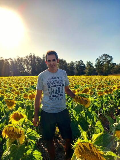 En girasol hay baja presencia de gata peluda y muy baja de isoca medidora