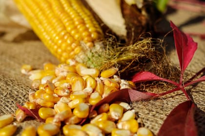 En granos o entero, el procedimiento es el mismo y el alimento mantiene sus propiedades