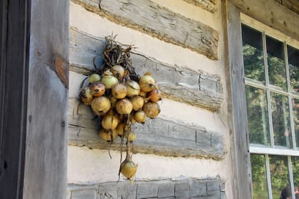 En Grecia se cuelan cebollas en las puertas de las casas para promover la buena energía