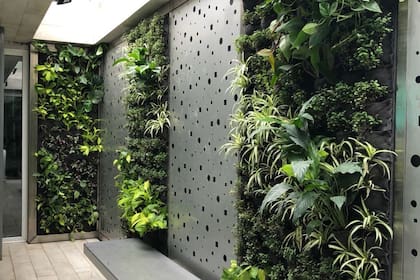 En HighGarden se encargan de la creación y mantenimiento de todo tipo de espacios verdes