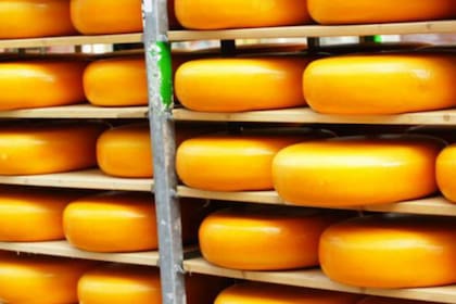 En Holanda, el queso se come a diario, además de otros productos lácteos.