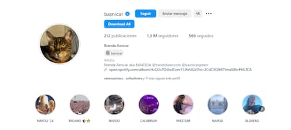 En homenaje a su gato, Brenda Asnicar cambió su foto de perfil en Instagram