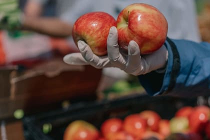 En Houston entregará comida gratis a las familias vulnerables de la zona sin la necesidad de una inscripción previa (Archivo)