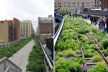 En High Line, todas las semanas se presenta una lista de especies que están en esplendor. Puede observarse un patrón de plantación que va marcando un ritmo en el diseño.