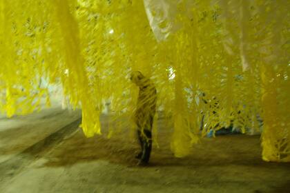 En Imán, conviven la imagen, el movimiento, el sonido y la palabra