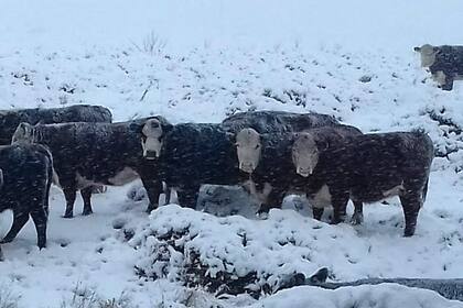 En invierno, con la nieve se presenta este paisaje con la hacienda