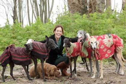 En invierno, los perros usan ponchos para abrigarse