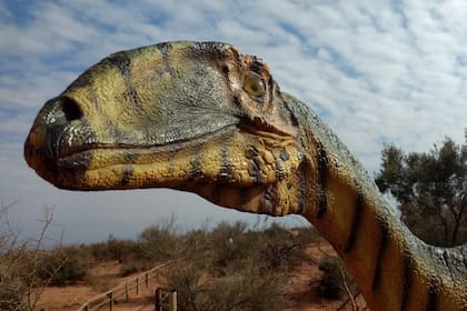 En Ischigualasto se encontró el fósil de dinosaurio más antiguo del mundo