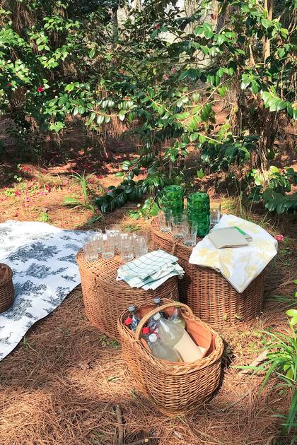 En Isla de las Camelias se puede disfrutar de un picnic en un paisaje único de pinos y flores