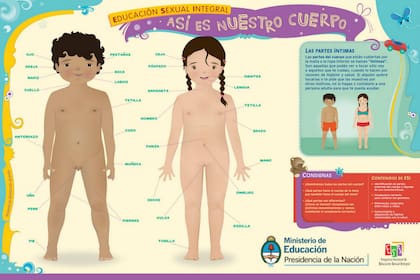 En jardín de infantes se enseña a los chicos el vocabulario correcto para designar las partes de su cuerpo
