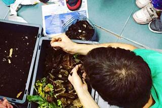 Cómo hacer compost en tu casa