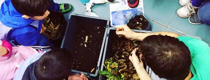 En jardines; otras, en terrazas, balcones o en la misma cocina, cualquier lugar puede servir para compostar