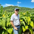 Denuncian que el contrabando de cigarrillos puso en vilo el negocio de producir tabaco