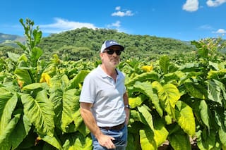 Denuncian que el contrabando de cigarrillos puso en vilo el negocio de producir tabaco