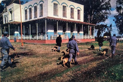 En julio de 1985, rastrillajes por el predio de la Colonia Montes de Oca, en la localidad de Torres, cercana a Luján, en busca de rastros de la doctora Cecilia Giubileo