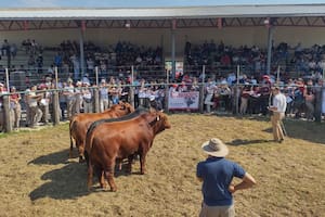 Organizaron un concurso ganadero con escuelas rurales del norte