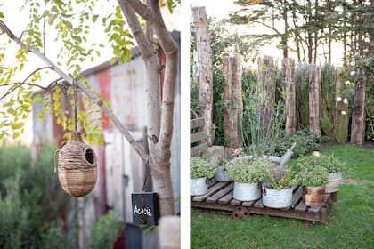 En la acacia, un nido donde habitan
los pájaros de la zona. Macetas en viejos piletones de chapa y varios elementos típicos de campo dan al lugar su esencia campestre