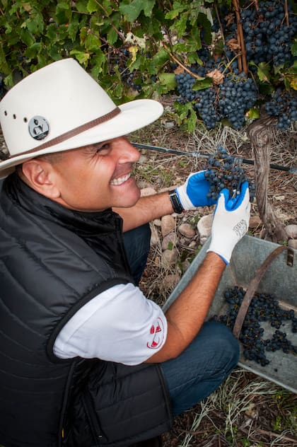 En la actualidad, Alejandro y su equipo de trabajo, lograron producir un vino de ultrapremium que se exporta a los Estados Unidos y tiene proyección de llegar a más países de la región