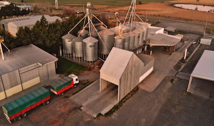 En la actualidad, poseen más de 400 clientes de grandes animales y tienen más de 25 distribuidores