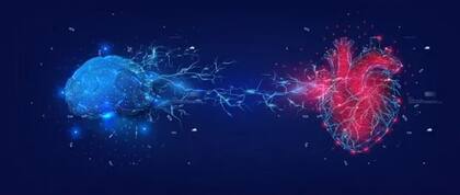 En la actualidad se conoce que una gran proporción de las enfermedades neurodegenerativas (Alzheimer, demencia, deterioros cognitivos) se atribuyen a insuficiencias de la función cardiovascular