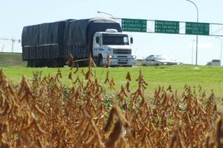 El mercado comienza a sentir la presión de la oferta de la cosecha de soja