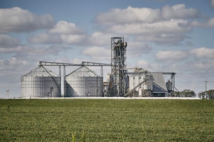 En la Argentina Viterra, Cargill y Cofco lideraron las exportaciones de 2023/2024