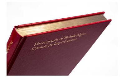 En la biblioteca de la Royal Society, en Londres, Mandy pudo repasar uno de los más completos ejemplares originales, “encuadernado en cuero rojo, con bordes dorados y un jaspeado exquisito en las guardas”