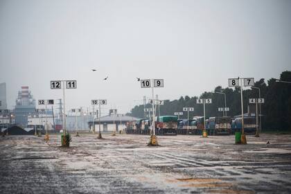 En la Bolsa de Comercio de Rosario mencionaron que "la merma es de peso en los dos cultivos"