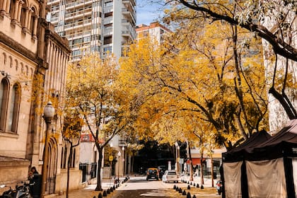 En la calle Arroyo se genera un microclima