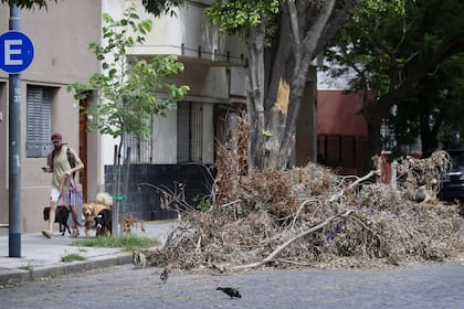 En la calle Terrada, en el barrio de Villa Pueyrredón, las ramas siguen en las veredas; ocurre lo mismo en Agronomía y Parque Chas, otras de las zonas más afectadas