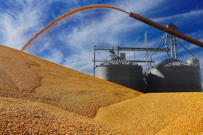 En la campaña 2023/2024 Estados Unidos logró una cosecha récord de maíz, con 389,69 millones de toneladas