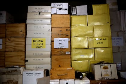 En la cava se encuentra cientos de cajas de etiquetas icónicas del vino argentino, junto con otras más modernas