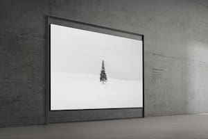 Presentaron un televisor Micro RG de 130 pulgadas