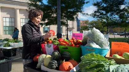 En la ciudad de Dallas se pueden encontrar despensas gratuitas durante todo el mes de noviembre (Archivo)