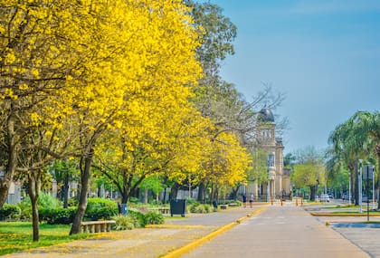 En la ciudad de Reconquista, en Santa Fe, un apostador ganó más de US$6.000.000 en el Quini 6