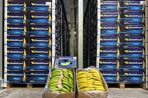 Una histórica empresa de la Patagonia busca cambiar cómo llegan las frutas a las góndolas