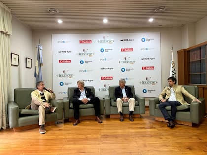 En la conferencia de prensa, Juan Manuel Aloe, Mariano Irisarri, Alejandro de La Tour y Rafael Nougues